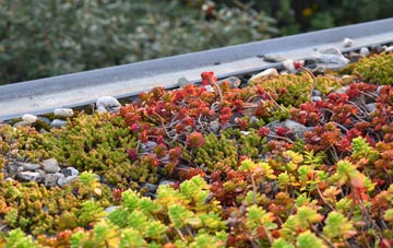 the cost of Fornham St Martin green roof installation