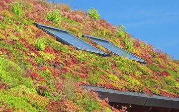Fornham St Martin living roof systems