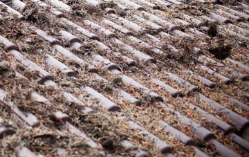 Fornham St Martin roof cleaning companies